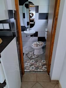 a bathroom with a toilet and a sink at Kuca za odmor Šušnjar in Ripač