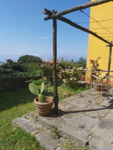 Gallery image of Codemin Casa Vista Mare Cinque Terre con Giardino in Campiglia +27 photos