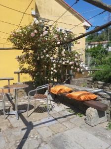 a table and chairs and a table and a bush with flowers at CodeminCampiglia Casa Vista Mare con Giardino in Campiglia