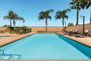 a swimming pool with chairs and palm trees at Four Points by Sheraton Sacramento Airport in Sacramento