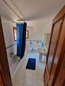 a bathroom with a blue shower curtain and a sink at Casa vacanze Dafne in Mandra Capreria