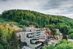 uma vista aérea de uma cidade com uma montanha em Fabesca Boutique Hotel & SPA em Sovata