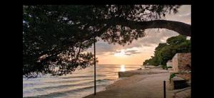 Fotografie z fotogalerie ubytování Apartman Punta Radman v destinaci Petrcane