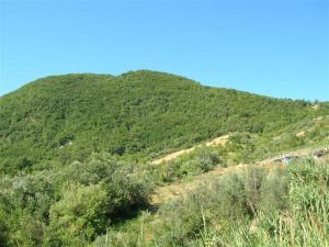 Foto dalla galleria di Casa della Ventricina a Scerni