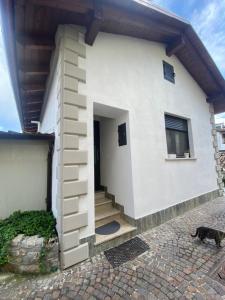 un gato está parado frente a una casa en La Perla Del Borgo en Montefalcone di Val Fortore