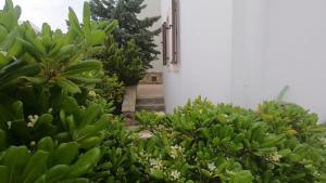 Zahrada ubytování Villa Philocally, Naxos