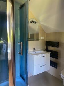 a bathroom with a sink and a glass shower at Domki u Ewy in Stronie Śląskie