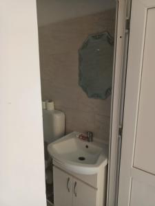 La petite salle de bains est pourvue d'un lavabo et de toilettes. dans l'établissement Casa Edental, à Orăştie
