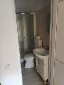 La salle de bains est pourvue de toilettes et d'un lavabo. dans l'établissement Casa Edental, à Orăştie