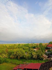 - une vue sur un champ et des arbres avec un ciel dans l'établissement Casa Edental, à Orăştie