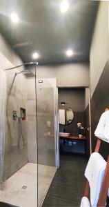 y baño con ducha con cabina de ducha de cristal. en DREAM STATION 5TERRE, en La Spezia
