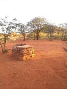 a stone bench sitting in the middle of a field at Porcupine Camp Kamanjab in Kamanjab