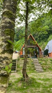 ein Haus mit einer Treppe, die in den Wald führt in der Unterkunft Lelvani Suite Bungalow in Rize