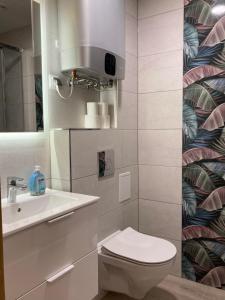 een badkamer met een wit toilet en een wastafel bij Apartament 221 przy Niedźwiadku in Polanica-Zdrój