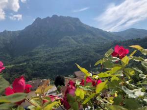Gallery image of Savoia Terrace with Mountain View in Taceno