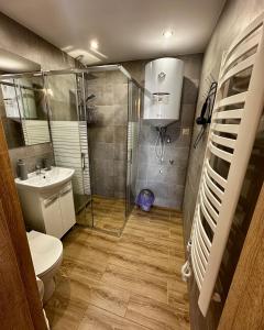 a bathroom with a shower and a toilet and a sink at Domek Bogdanówka in Pisarzowa