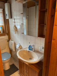 uma casa de banho com um lavatório e um WC em Blockhaus FerienZauber em Bromskirchen