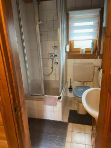 a bathroom with a shower and a toilet and a sink at Blockhaus FerienZauber in Bromskirchen