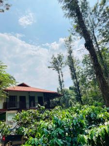 a house with a lot of trees in front of it at THE MASCARA - Home stay @ Coorg in Kushālnagar