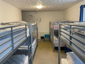 a room with four bunk beds in a room at Blue Room Hostel Newquay in Newquay