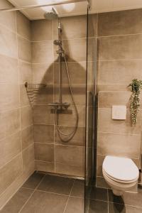 een badkamer met een douche en een toilet bij Appartement Wadpier in Buren