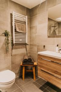 a bathroom with a toilet and a sink at Appartement Wadpier in Buren