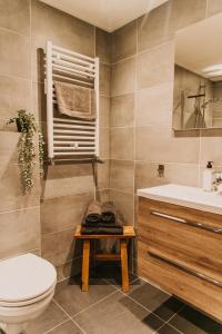 een badkamer met een toilet en een wastafel bij Appartement Wadpier in Buren
