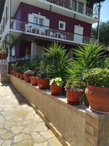 Sandra's Beach House في جوفيا: صف من النباتات الفخارية على الحائط أمام المبنى