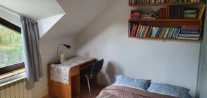 MilanówekにあるMillanovaのベッドルーム(デスク、ベッド、本棚付)
