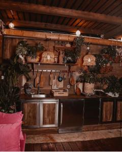 uma cozinha com um lavatório e muitas plantas em elana's garden em Majdal Shams