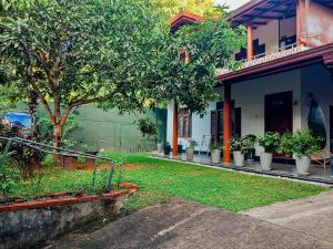 Zahrada ubytování Serendip Villa Holiday Home Talalla Sri Lanka