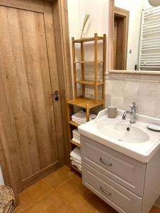 a bathroom with a sink and a mirror at Rugio namai-Rye house in Palanga +42 photos