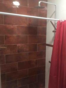 ducha con pared de ladrillo y cortina de ducha roja en La casita Ossa, en Ossa de Montiel