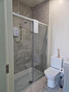 a bathroom with a shower and a toilet at Sea View Studio in Buncrana