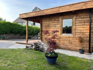 a small wooden cabin with a window and a plant at Log Cabin in Bideford
