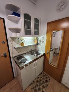 a small kitchen with a sink next to a door at Studio Midtown in Zagreb