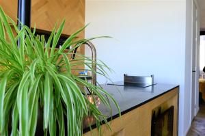 Φωτογραφία από το άλμπουμ του Kaai11 - Riverview Lofts & Suites στην Αμβέρσα