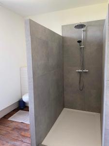 a shower with a glass door in a bathroom at Le Brasseur Logements in Saint-Caprais