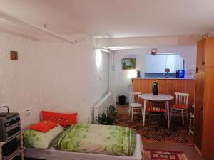 Postel nebo postele na pokoji v ubytování Pearl of Danube