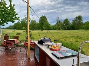 a kitchen with a stove with a field in the background at Ferienhof "Zum Spreewäldchen" in Burg