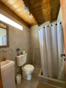 y baño con aseo y ducha. en Cabaña Bigua en San Martín de los Andes