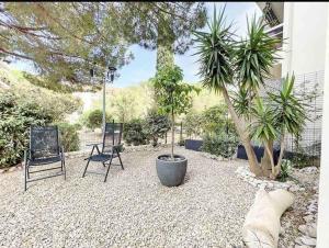 une terrasse avec 2 chaises et un palmier dans l'établissement Casa Victor - Jardin privatif, proche plage et centre, à Calvi