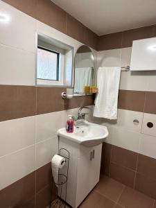 La salle de bains est pourvue d'un lavabo et d'un miroir. dans l'établissement Допълнителна къща за гости Ози 1, à Ovchartsi