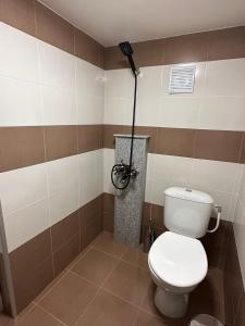 a bathroom with a toilet and a shower at Допълнителна къща за гости Ози 1 in Ovchartsi