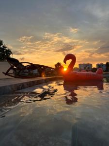 a swimming pool with an inflatablevisor in front of a sunset at Ilio Boutique Hotel in Ksamil