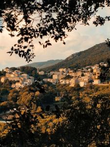 um grupo de casas numa colina numa cidade em Rez de maison/jacuzzi privé/patio fleuri em Olivese