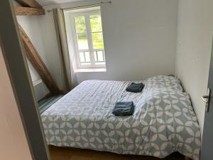 ein Schlafzimmer mit einem Bett in einem Zimmer mit einem Fenster in der Unterkunft Les écuries du château des Rieux in Saint-Martin-Terressus