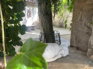 Zahrada ubytování Harzhotel Warnstedter Krug