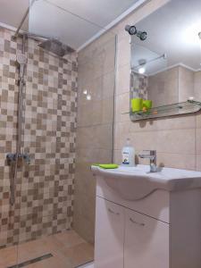 uma casa de banho com um lavatório e um chuveiro em Apartman PAVLE em Plužine
