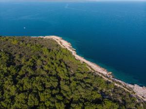 an aerial view of an island in the ocean at Exclusive Apartments Milahomes by the sea, boot mooring and private parking in Mali Lošinj